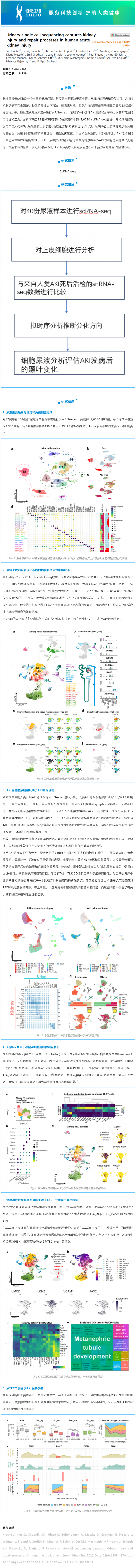 文獻解讀_尿 scRNA-seq 捕獲人類急性腎損傷的腎損傷和修復過程